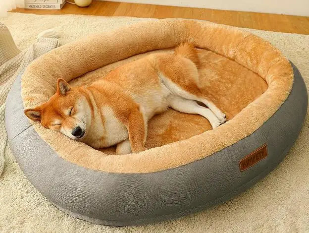 Kimpets dog house
