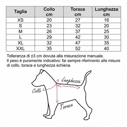 TUTA CON CAPPUCCIO ADIDOG
