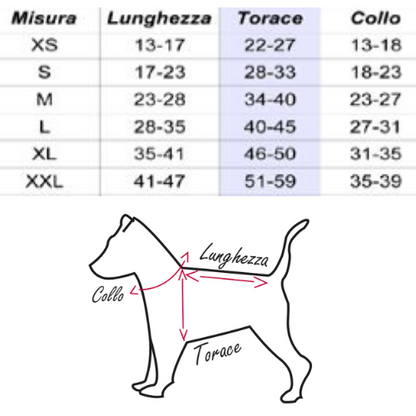 TRAJE